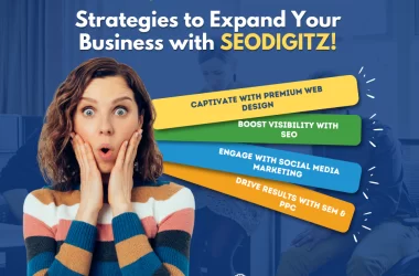 Build, Grow, and Lead Online with SEODIGITZ