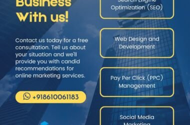 How to grow your business Through SEODigitz
